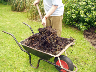 garden compost